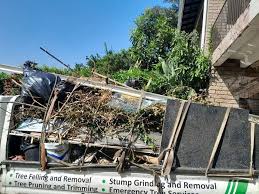 Trusted Loma, CO Junk Removal Services Experts